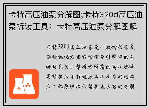 卡特高压油泵分解图;卡特320d高压油泵拆装工具：卡特高压油泵分解图解析